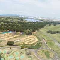 国営ひたち海浜公園【ネモフィラ】