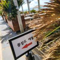 제주 바캉스에 좋은 몽상드애월