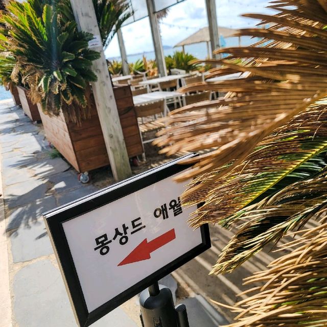 제주 바캉스에 좋은 몽상드애월