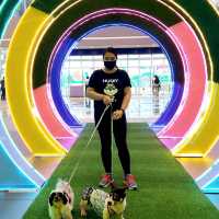 Paw Park @ SM City Clark