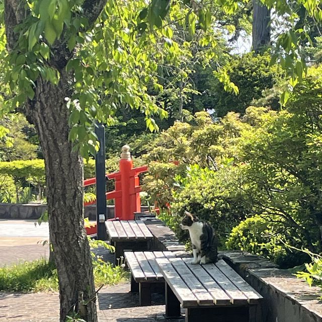 【仙台城跡】仙台近くでちょっと一息