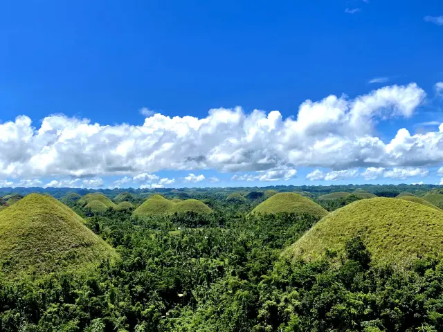 菲律賓Bohol Island