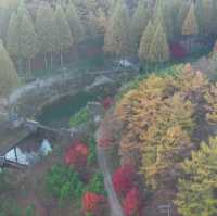 Recreational Forest in Nonsan