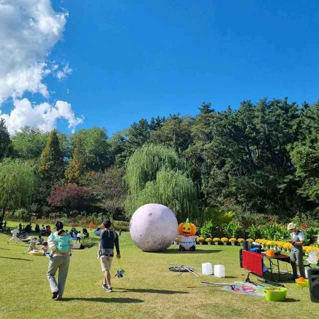 가을 국화꽃 가득한 아산 피나클랜드 수목원 🌳 