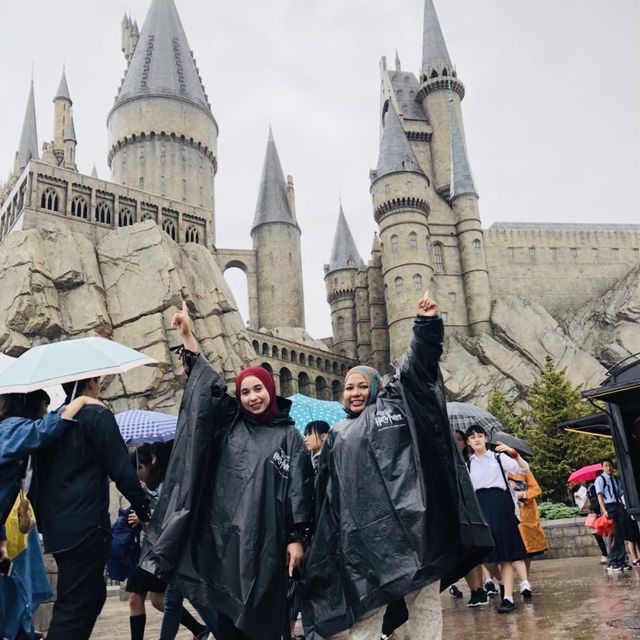 The Wizarding World of Harry Potter 