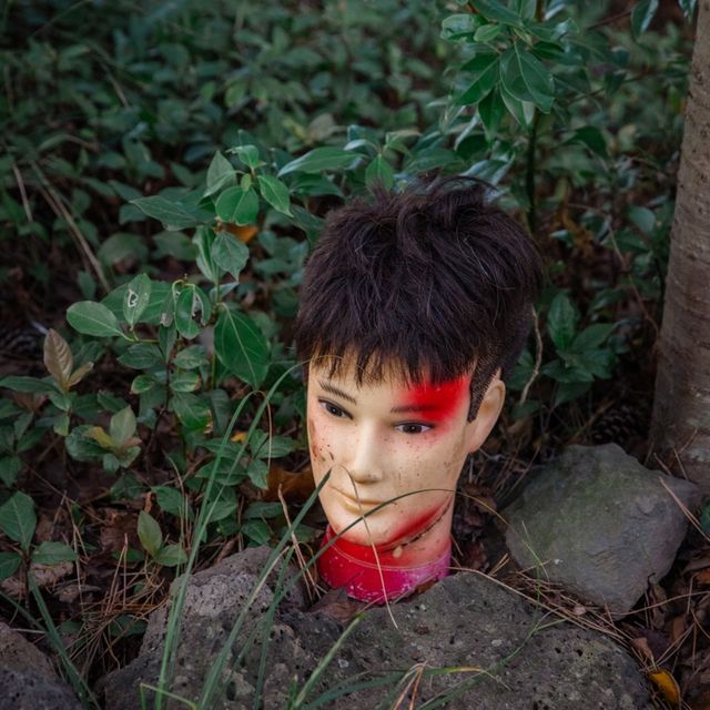 제주 “수목원길야시장”에서 즐기는 할로윈🎃