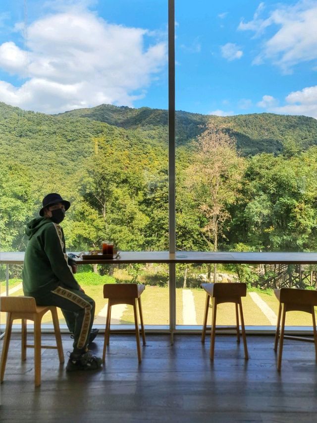 가을에 더 예쁜 마운틴뷰, 김해 장유카페 더 세하🏡
