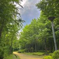 도심 속 자연이 가득한 힐링공간🌲