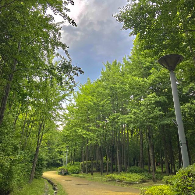 도심 속 자연이 가득한 힐링공간🌲