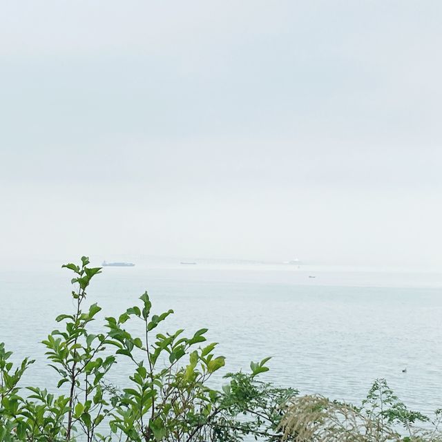 大澳