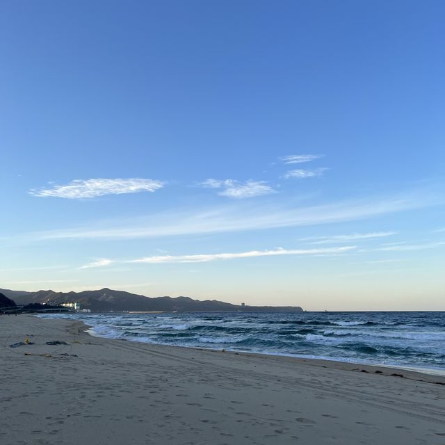 강원도 동해시 망상해수욕장 :: 올해 중 제일 예쁜 바다 👍