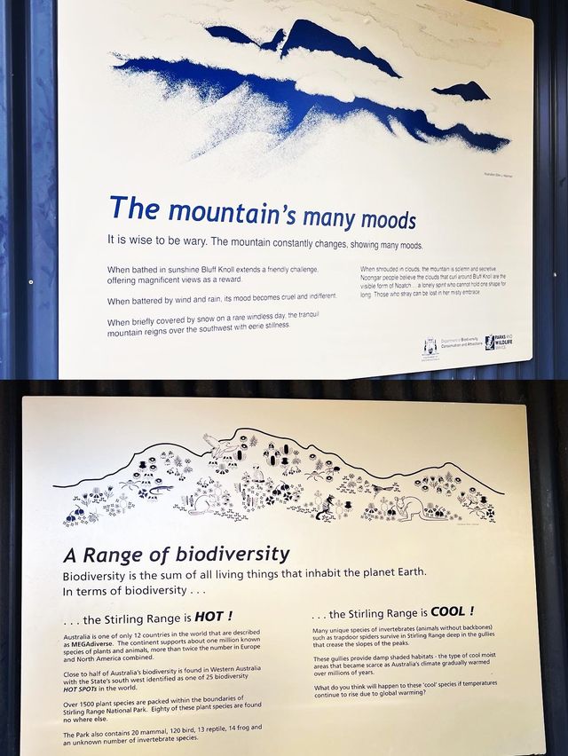 Sterling Ranges! Bluff Knoll Worthy Hike!😎