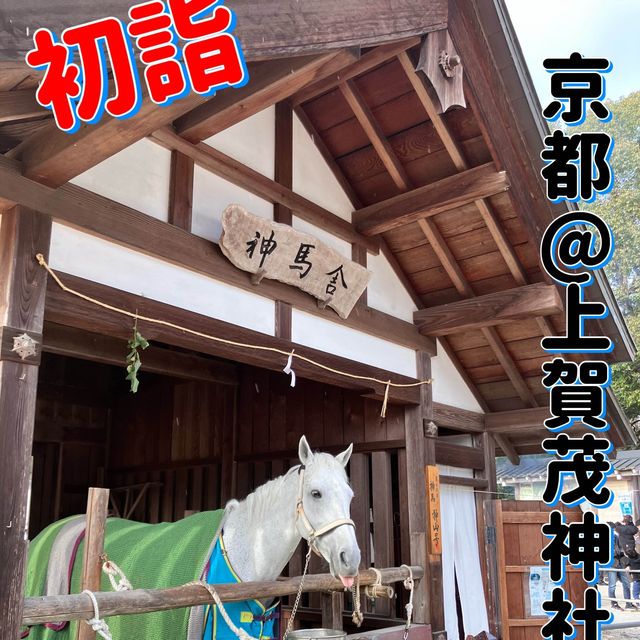 【京都】初詣はパワースポットの上賀茂神社から