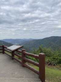 จุดชมวิวเขาใหญ่ ⛰️🍃