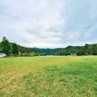 宜蘭 | 「龍潭湖特定風景區」，園區內有超多白鷺鷥棲息，還有悠遊在湖畔的鴨子群