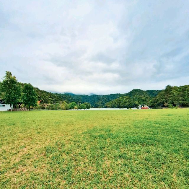 宜蘭 | 「龍潭湖特定風景區」，園區內有超多白鷺鷥棲息，還有悠遊在湖畔的鴨子群