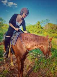 มาขี่ม้าสไตร์คาวบอยกันที่ ok corral 