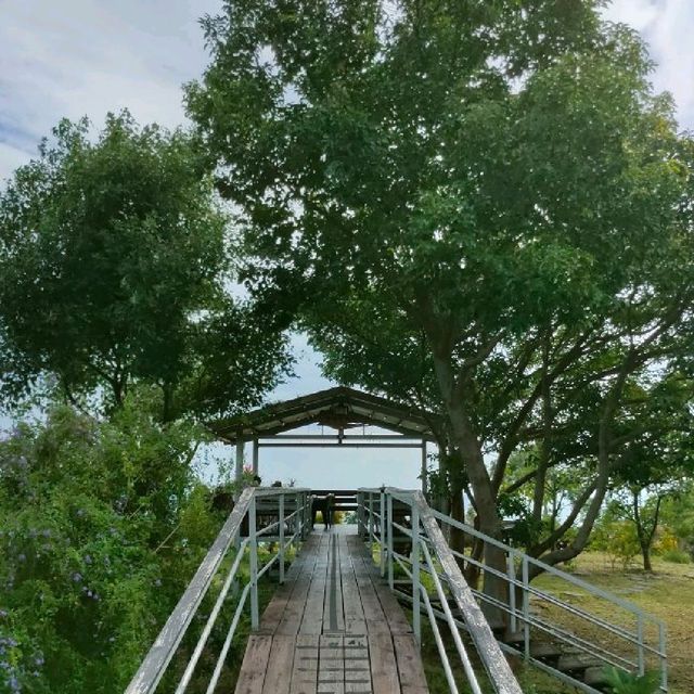 【台東 秘境 】台東秘境星龍花園、180度無敵海景、空中花園、 咖啡、美食、下午