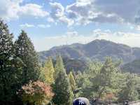 神戸🐏あまりの近さに驚いた！！【六甲山牧場】