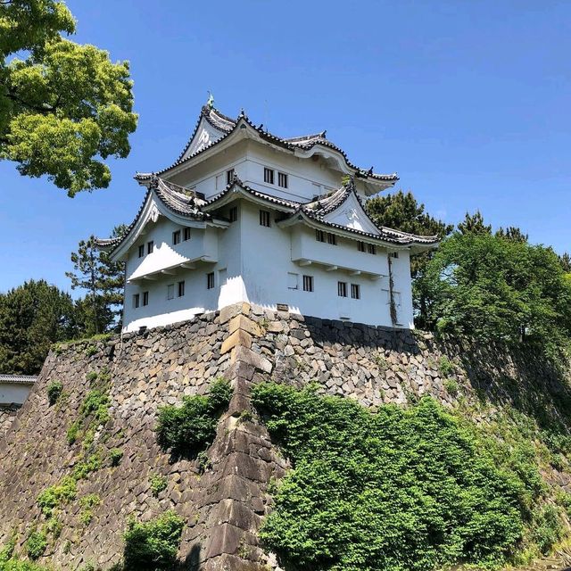 Nagoya Castle