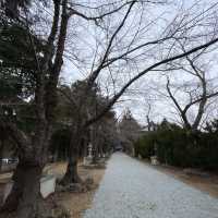 冨士御室浅間神社の参道