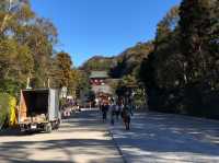 【神奈川・鎌倉】鶴岡八幡宮