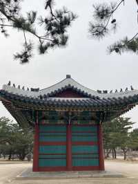 도심 속 궁투어