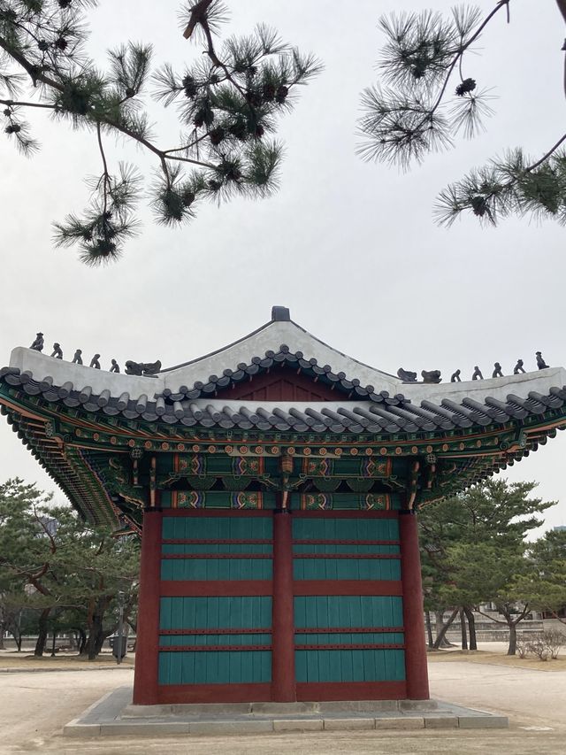 도심 속 궁투어