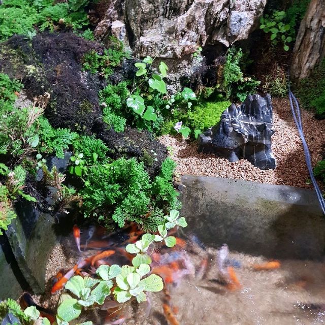 유리온실 정원이 있는 영주 한옥카페 , 사느레정원