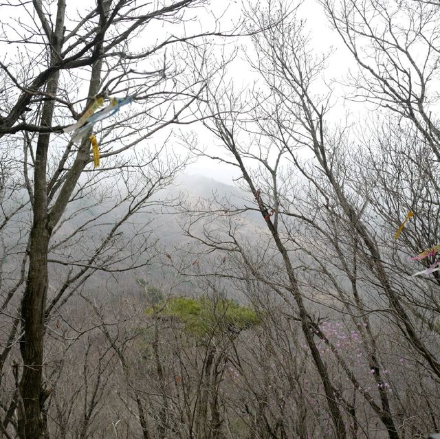 양평 유명산 등산 