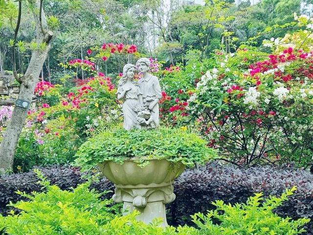青衣賞花好地方