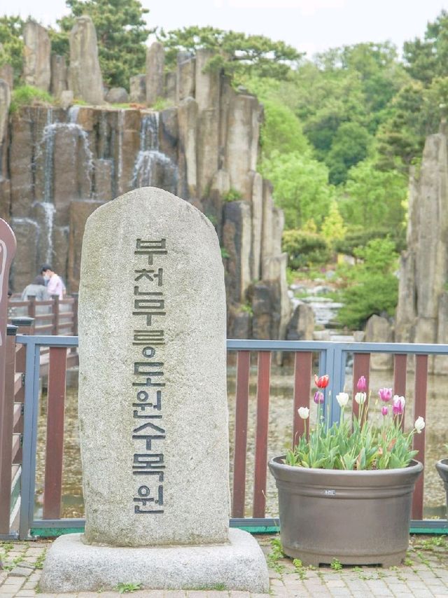 부천 꽃구경하기 좋은 곳, 부천식물원 부천 꽃구경하기 좋은 곳, 부천식물원