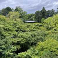 【京都】絵になる絶景！東福寺の通天橋