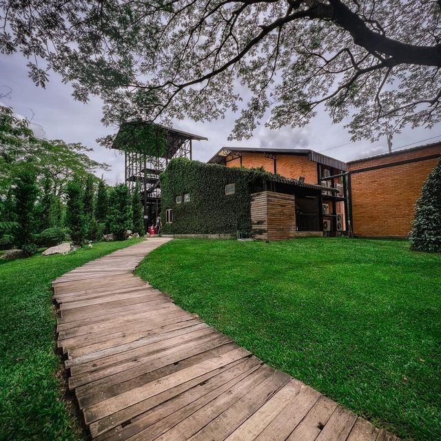 คาเฟ่ที่มีวิวสวนสวยๆ สีเขียวๆสลายตาสุดๆ