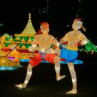 Wonderful Mid-Autumn Festival Lights