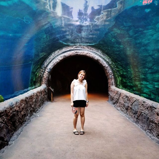 The Amazon Flooded Forest