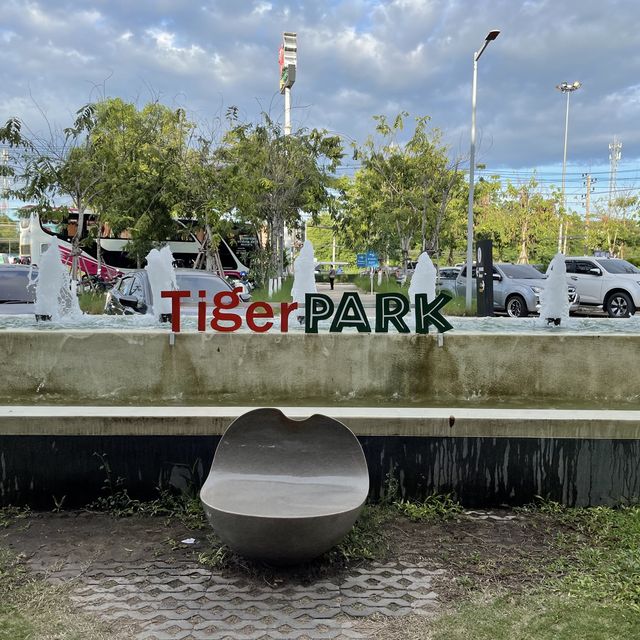 近距離接觸老虎🐯芭堤雅人氣老虎🐅樂園