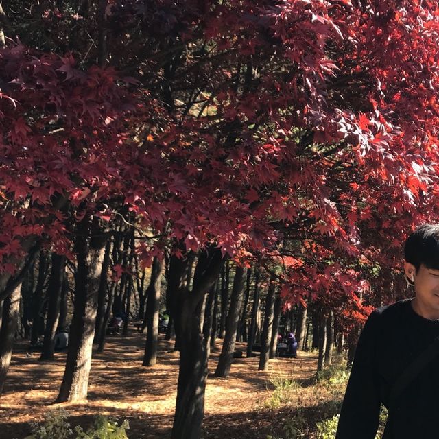 경기도 역사유적지 단풍구경_남한산성