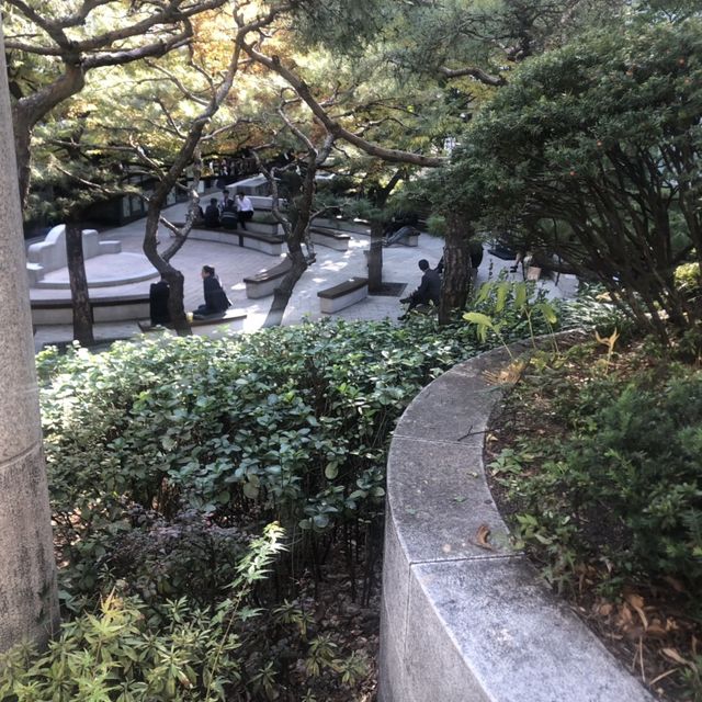서울 시청 옆 단풍길 나들이_덕수궁 돌담길