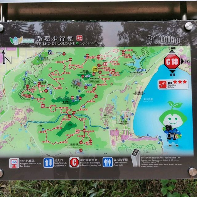 Hiking in time Coloane Trail (8100m)
