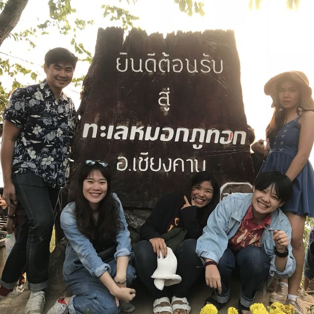 ภูทอก ดอยจังหวัดเลย