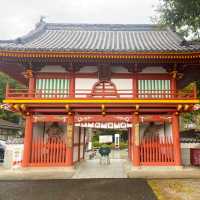 日本極樂寺與長命杉