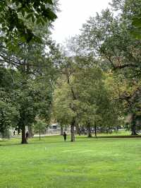 보스턴에서 피크닉을 💚 Boston Common 