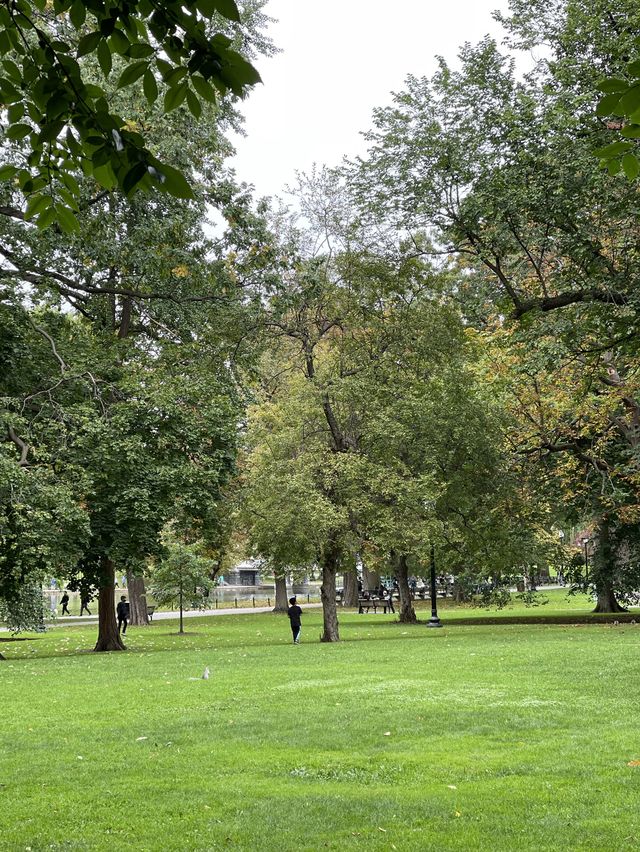 보스턴에서 피크닉을 💚 Boston Common 