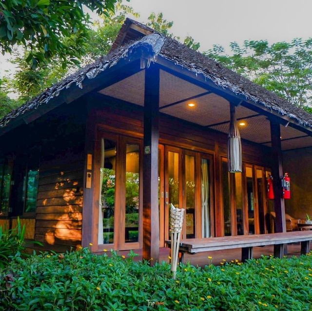 ที่พักเชียงดาว นอนชิล ฟิลธรรมชาติ