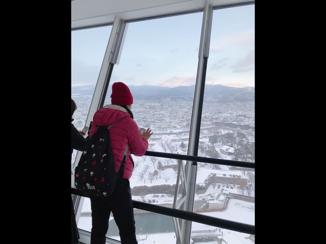 มาชิลชมวิวสวนมุมสูงจาก Goryokaku Tower