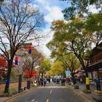 Colourful autumn of Jeonju