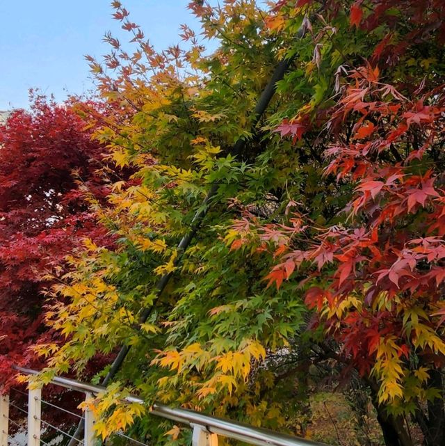 Awesome park in the Heart of Seoul. 