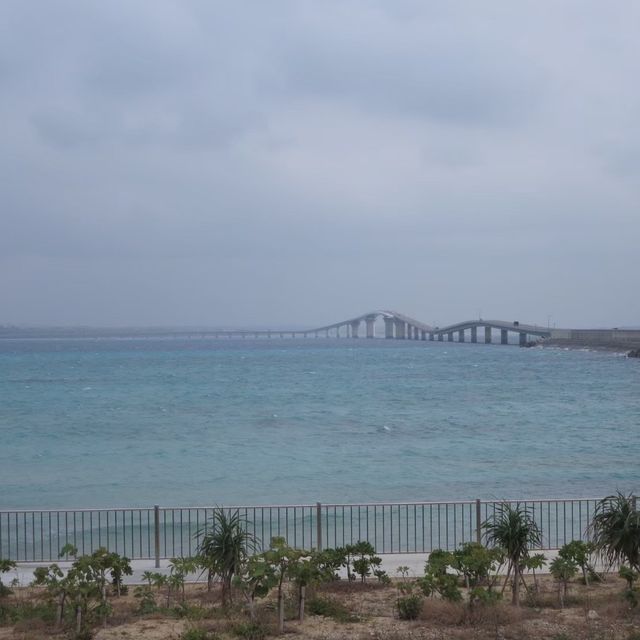 【沖縄県】無料で渡れる日本最長の橋へ