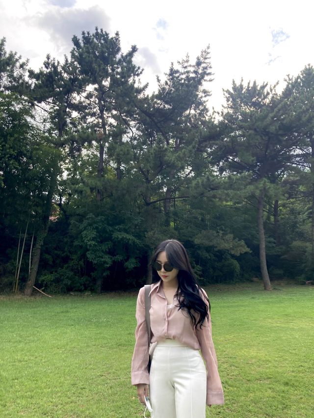 창원 가로수길 